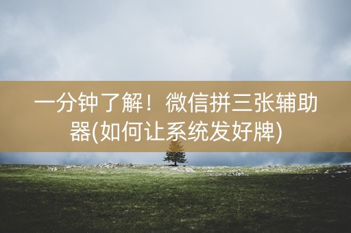 一分钟了解！微信拼三张辅助器(如何让系统发好牌)