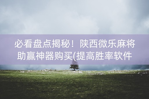 必看盘点揭秘！陕西微乐麻将助赢神器购买(提高胜率软件)