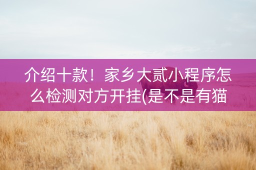 介绍十款！家乡大贰小程序怎么检测对方开挂(是不是有猫腻)