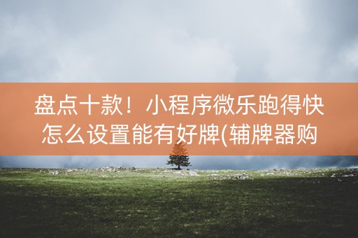 盘点十款！小程序微乐跑得快怎么设置能有好牌(辅牌器购买)