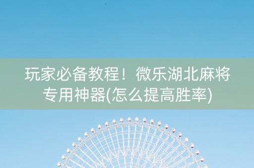 玩家必备教程！微乐湖北麻将专用神器(怎么提高胜率)
