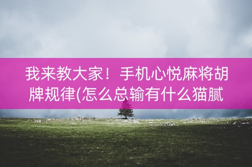 我来教大家！手机心悦麻将胡牌规律(怎么总输有什么猫腻)