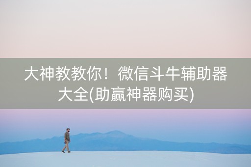 大神教教你！微信斗牛辅助器大全(助赢神器购买)