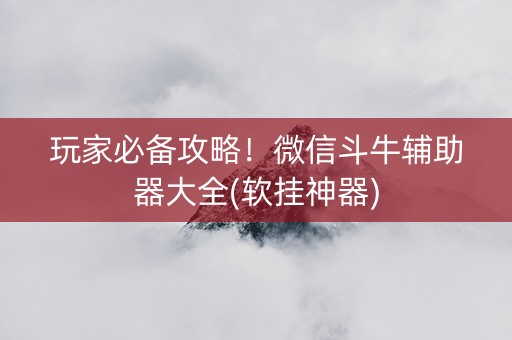 玩家必备攻略！微信斗牛辅助器大全(软挂神器)