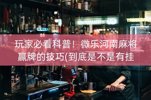 玩家必看科普！微乐河南麻将赢牌的技巧(到底是不是有挂)