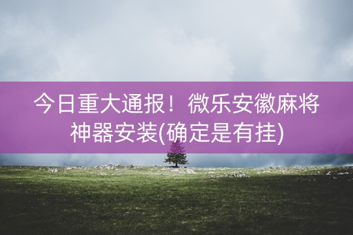 今日重大通报！微乐安徽麻将神器安装(确定是有挂)