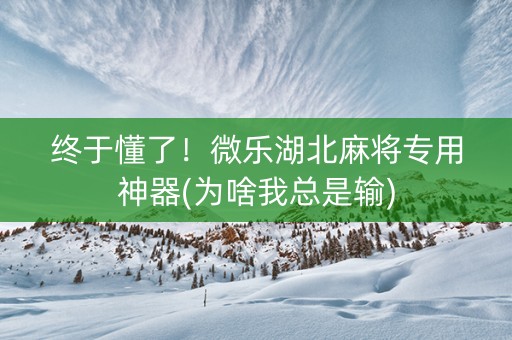 终于懂了！微乐湖北麻将专用神器(为啥我总是输)