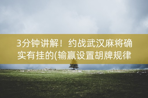 3分钟讲解！约战武汉麻将确实有挂的(输赢设置胡牌规律)