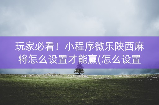 玩家必看！小程序微乐陕西麻将怎么设置才能赢(怎么设置胡牌)