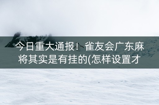 今日重大通报！雀友会广东麻将其实是有挂的(怎样设置才容易赢)