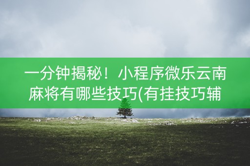 一分钟揭秘！小程序微乐云南麻将有哪些技巧(有挂技巧辅助器)