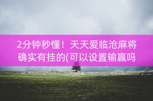 2分钟秒懂！天天爱临沧麻将确实有挂的(可以设置输赢吗)