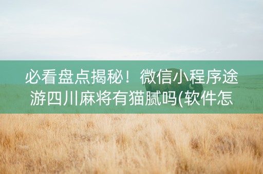 必看盘点揭秘！微信小程序途游四川麻将有猫腻吗(软件怎么打赢)