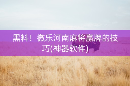 黑料！微乐河南麻将赢牌的技巧(神器软件)