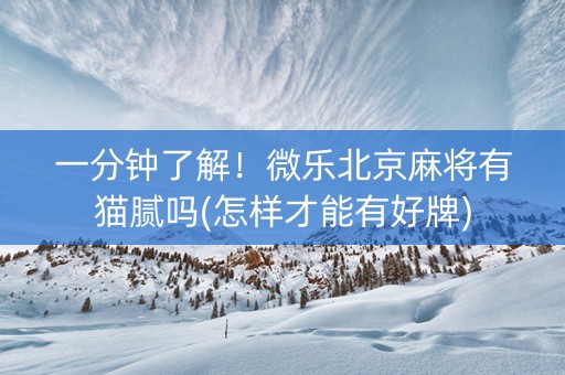 一分钟了解！微乐北京麻将有猫腻吗(怎样才能有好牌)