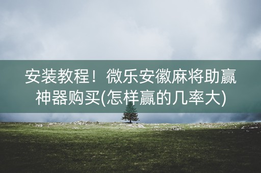 安装教程！微乐安徽麻将助赢神器购买(怎样赢的几率大)