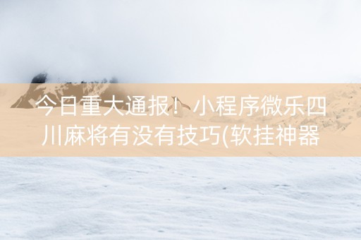 今日重大通报！小程序微乐四川麻将有没有技巧(软挂神器)