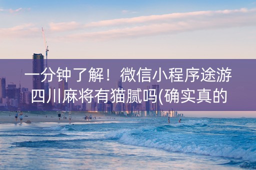 一分钟了解！微信小程序途游四川麻将有猫腻吗(确实真的有挂)