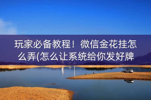 玩家必备教程！微信金花挂怎么弄(怎么让系统给你发好牌)