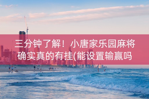 三分钟了解！小唐家乐园麻将确实真的有挂(能设置输赢吗)