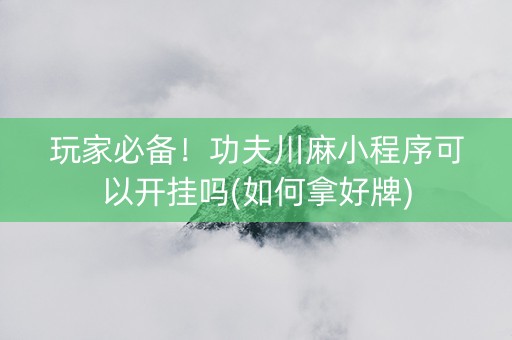 玩家必备！功夫川麻小程序可以开挂吗(如何拿好牌)
