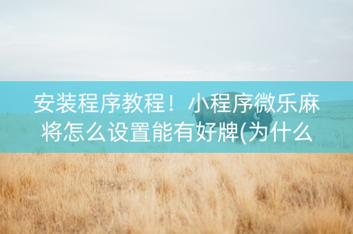 安装程序教程！小程序微乐麻将怎么设置能有好牌(为什么总是输)