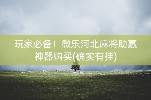 玩家必备！微乐河北麻将助赢神器购买(确实有挂)