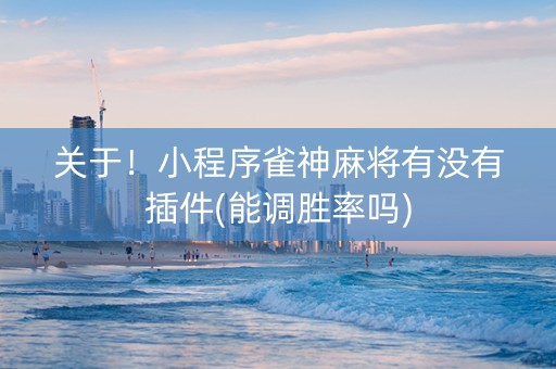 关于！小程序雀神麻将有没有插件(能调胜率吗)
