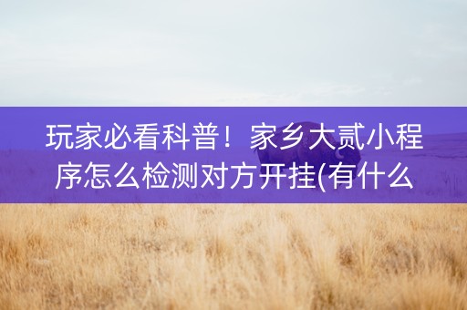 玩家必看科普！家乡大贰小程序怎么检测对方开挂(有什么赢的技巧)