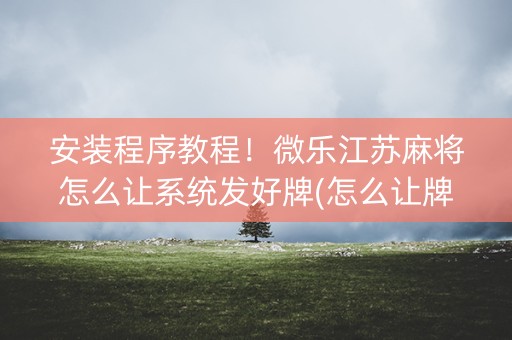 安装程序教程！微乐江苏麻将怎么让系统发好牌(怎么让牌更好)