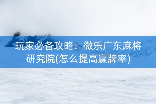 玩家必备攻略！微乐广东麻将研究院(怎么提高赢牌率)