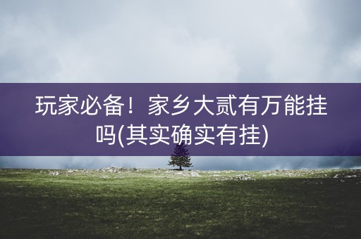 玩家必备！家乡大贰有万能挂吗(其实确实有挂)