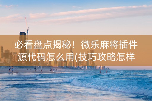 必看盘点揭秘！微乐麻将插件源代码怎么用(技巧攻略怎样拿好牌)