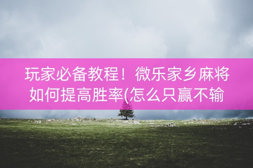 玩家必备教程！微乐家乡麻将如何提高胜率(怎么只赢不输)