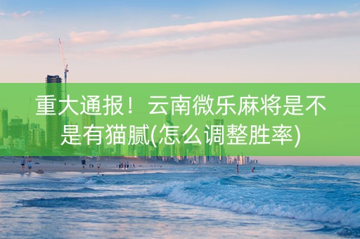 重大通报！云南微乐麻将是不是有猫腻(怎么调整胜率)