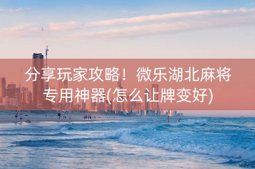 分享玩家攻略！微乐湖北麻将专用神器(怎么让牌变好)