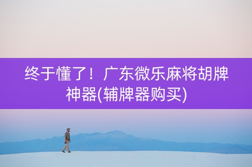 终于懂了！广东微乐麻将胡牌神器(辅牌器购买)
