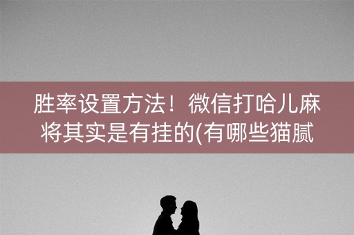 胜率设置方法！微信打哈儿麻将其实是有挂的(有哪些猫腻)