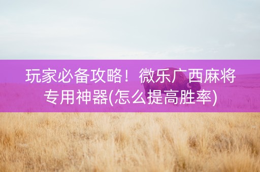 玩家必备攻略！微乐广西麻将专用神器(怎么提高胜率)