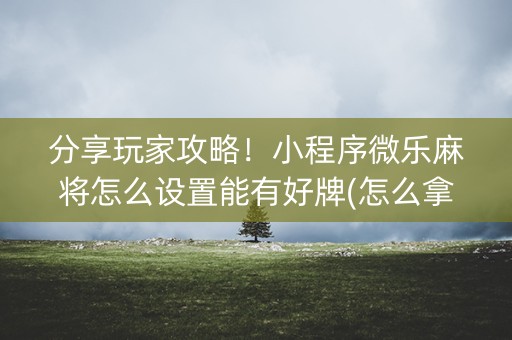 分享玩家攻略！小程序微乐麻将怎么设置能有好牌(怎么拿到好牌)