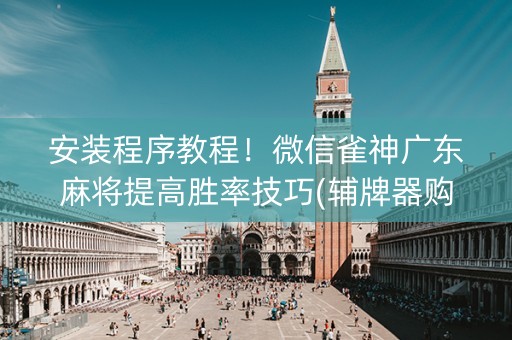 安装程序教程！微信雀神广东麻将提高胜率技巧(辅牌器购买)