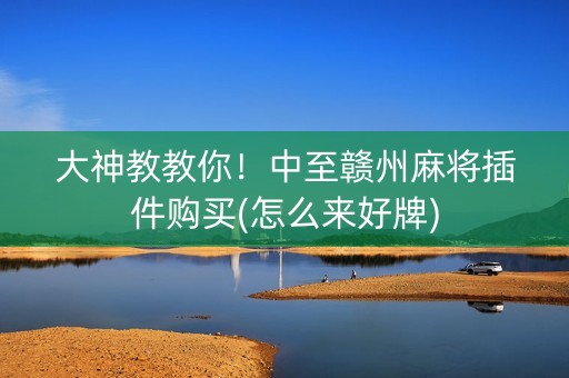 大神教教你！中至赣州麻将插件购买(怎么来好牌)