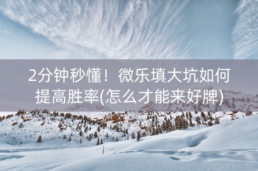 2分钟秒懂！微乐填大坑如何提高胜率(怎么才能来好牌)
