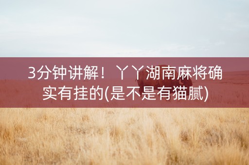 3分钟讲解！丫丫湖南麻将确实有挂的(是不是有猫腻)
