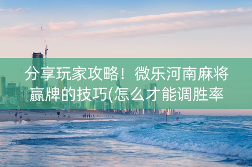 分享玩家攻略！微乐河南麻将赢牌的技巧(怎么才能调胜率)