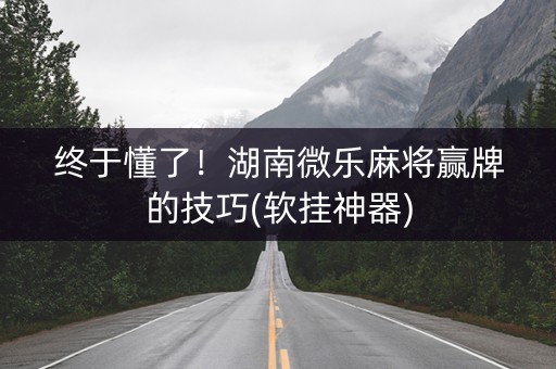 终于懂了！湖南微乐麻将赢牌的技巧(软挂神器)
