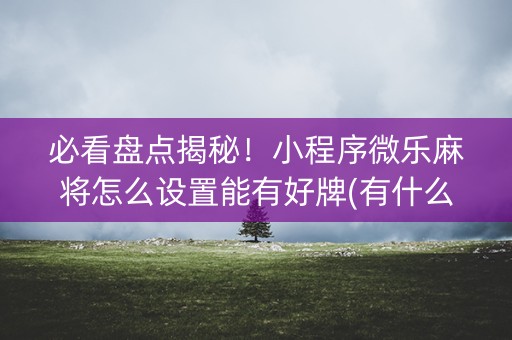 必看盘点揭秘！小程序微乐麻将怎么设置能有好牌(有什么能赢的方法)