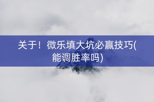 关于！微乐填大坑必赢技巧(能调胜率吗)