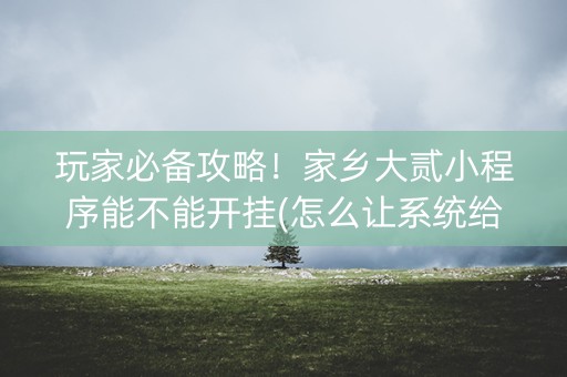玩家必备攻略！家乡大贰小程序能不能开挂(怎么让系统给自己好牌)