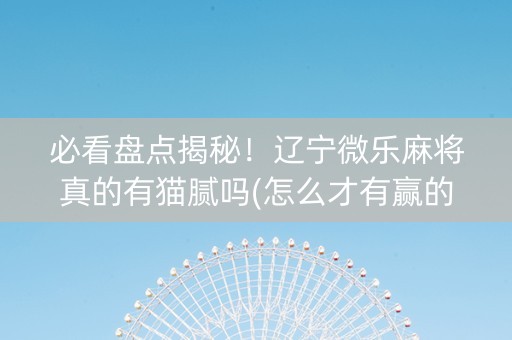 必看盘点揭秘！辽宁微乐麻将真的有猫腻吗(怎么才有赢的几率)